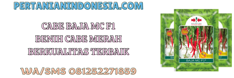 baja mc,f1,hibrida,cabe baja mc,cabe merah besar baja mc,pertanian indonesia